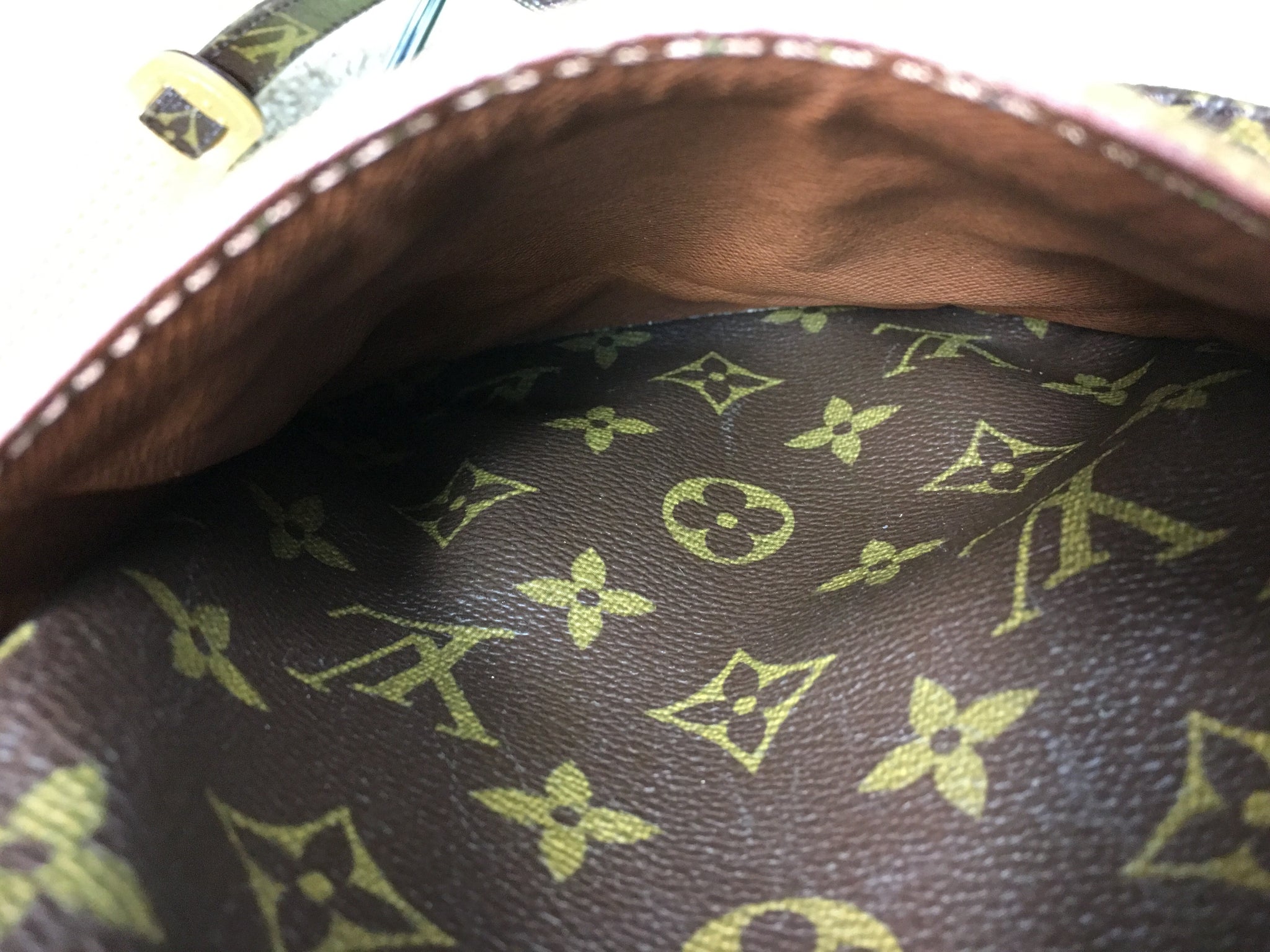 LOUIS VUITTON Danube Crossbody Bag