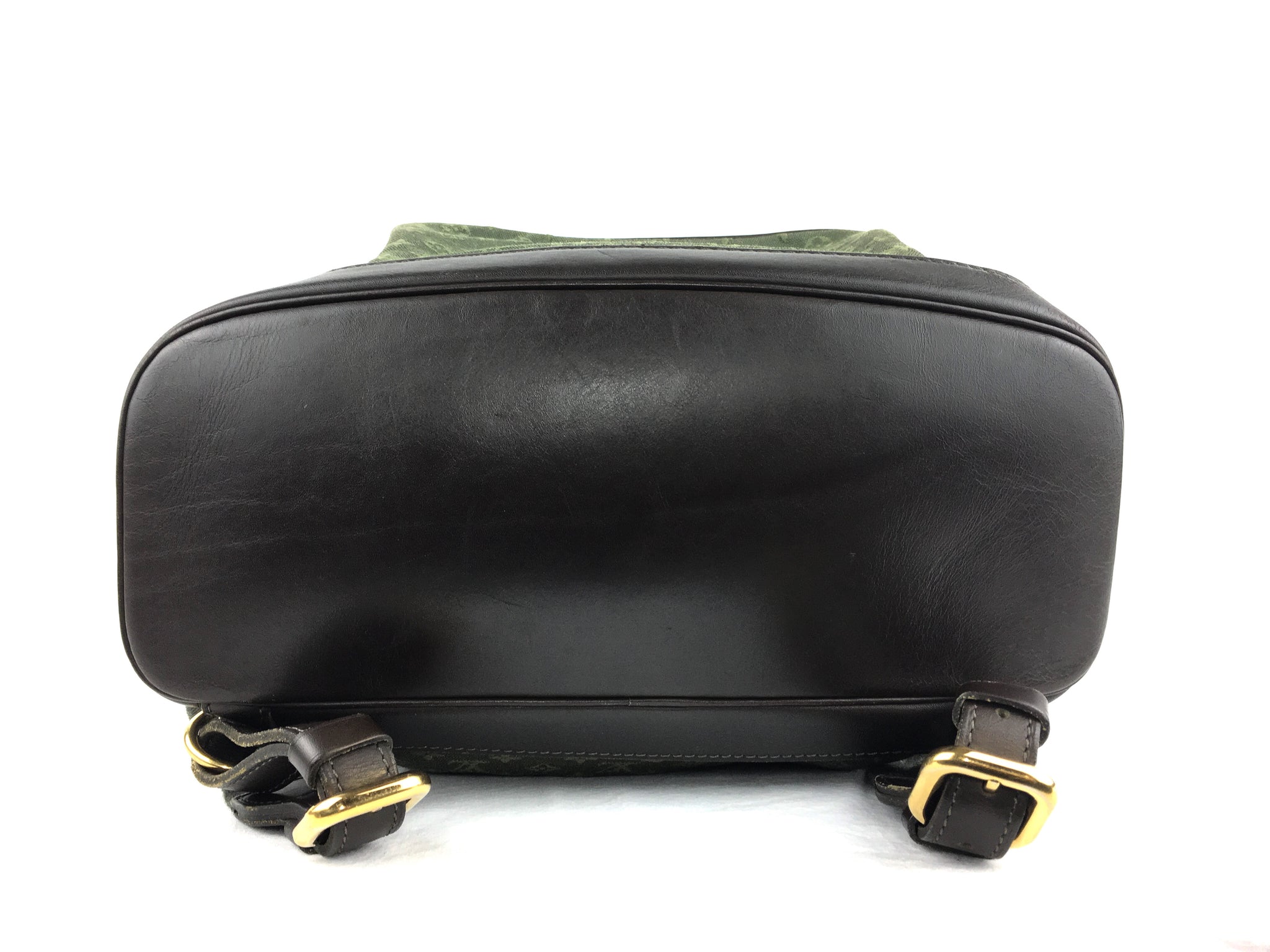 LOUIS VUITTON Montsouris GM Backpack (Olive Green & Brown Monogram)