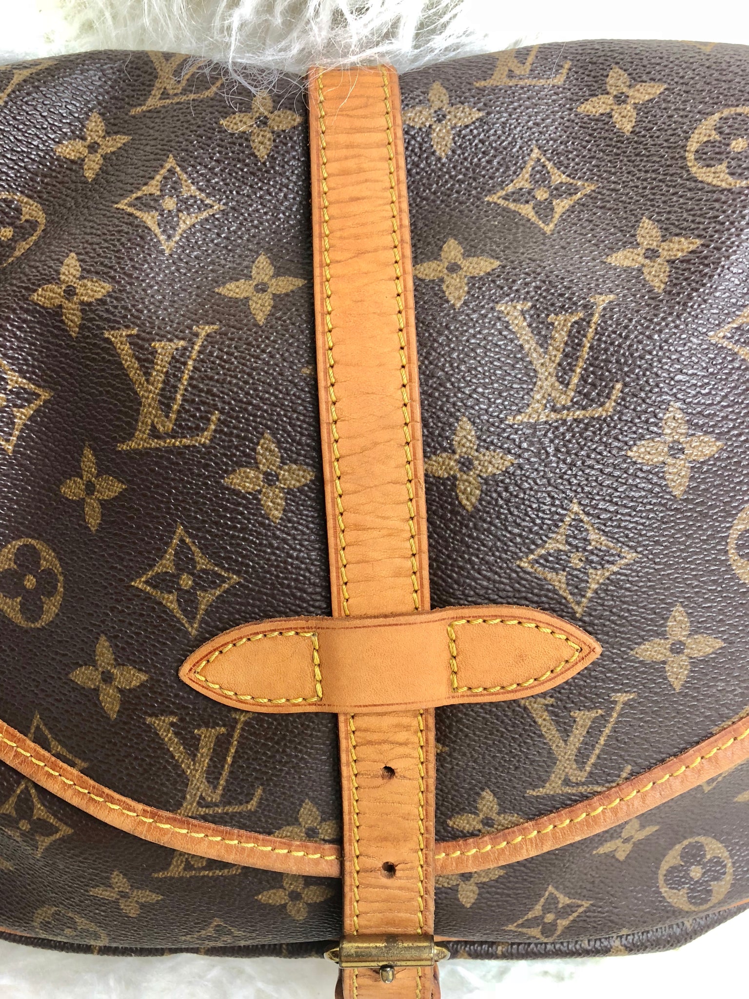 LOUIS VUITTON Saumur 30 Crossbody Bag (AR0971)