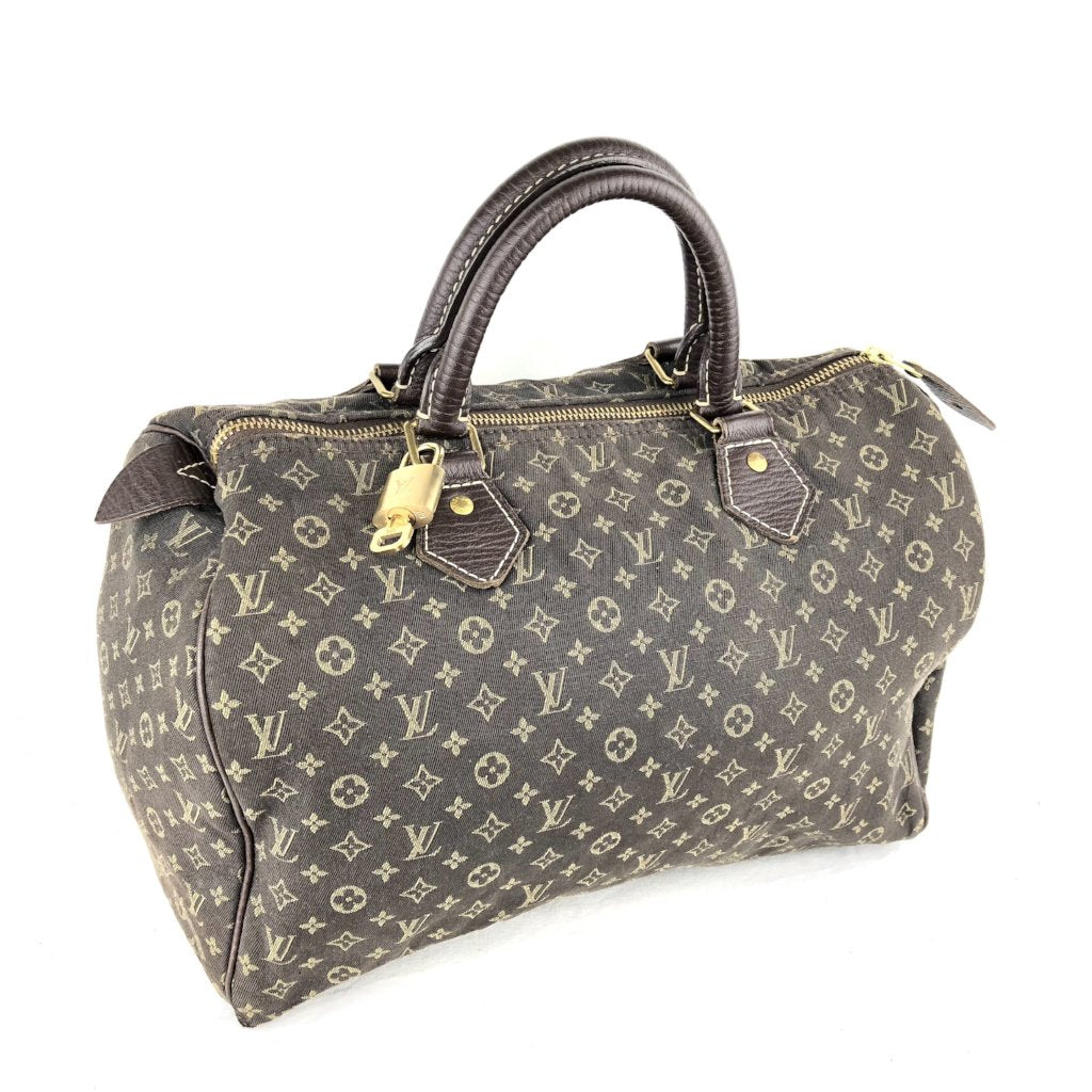 LOUIS VUITTON Mini Lin Speedy 30 Ebene