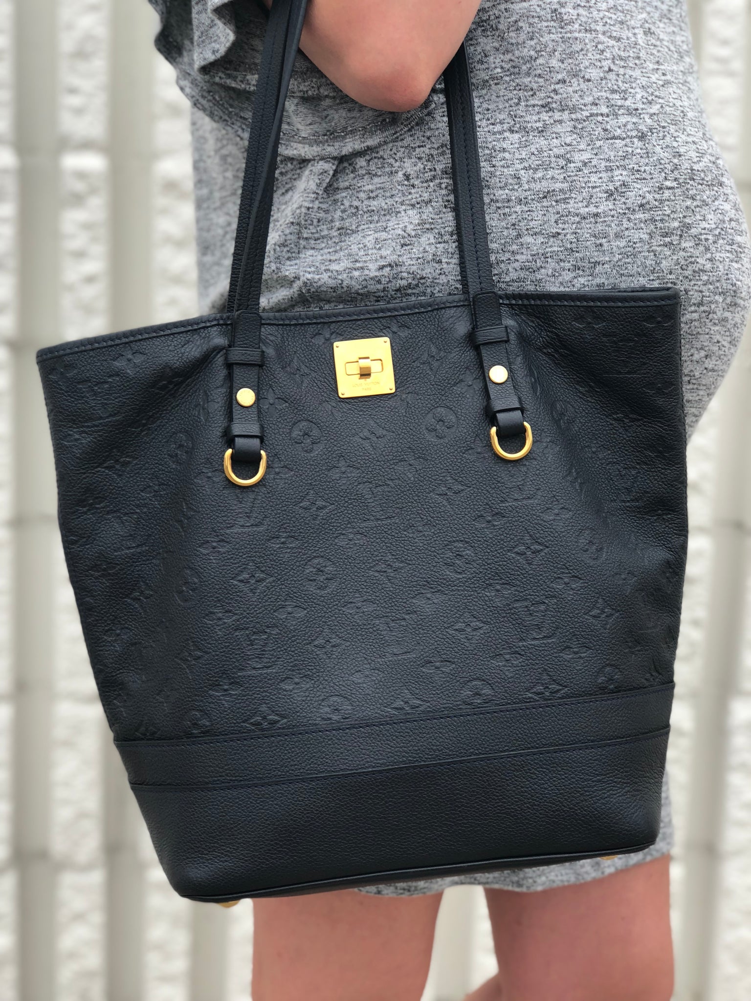 Our boy 🦮is accompanied by the lovely empreinte PM. : r/Louisvuitton