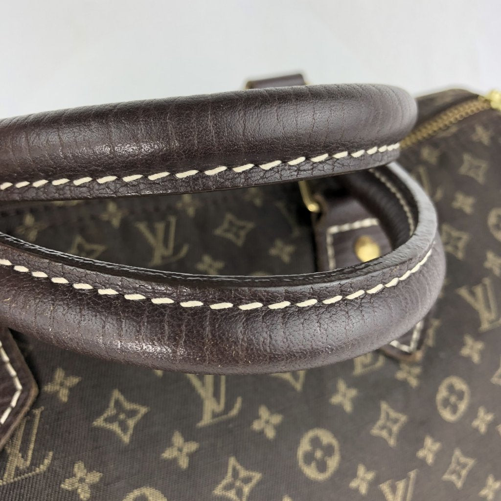 LOUIS VUITTON Mini Lin Speedy 30 Ebene