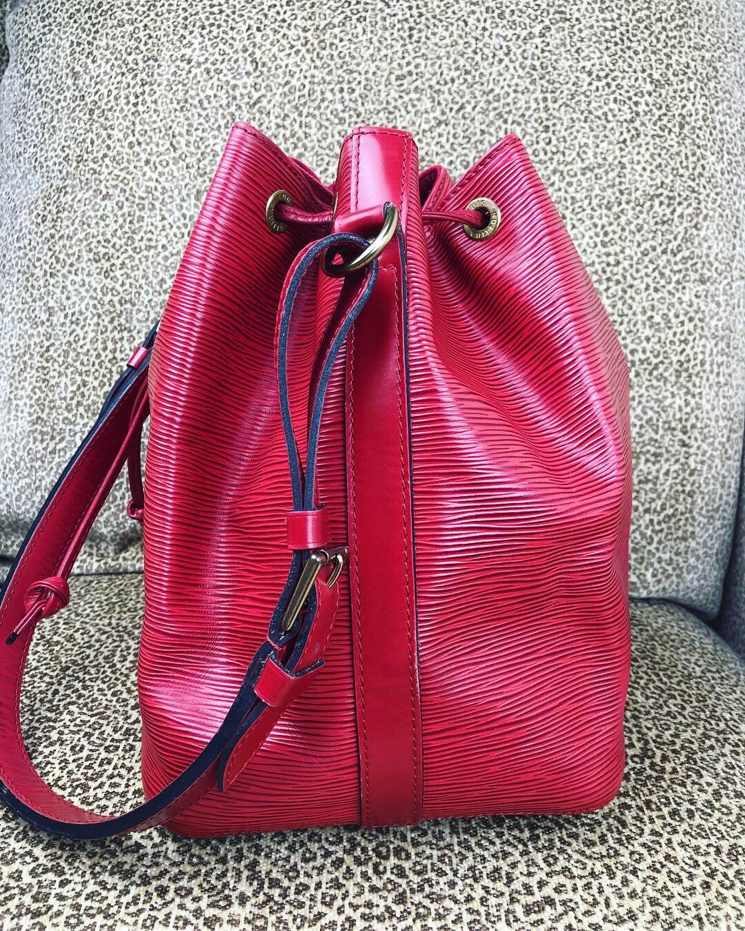 LOUIS VUITTON Red EPI Noe PM Bucket Bag