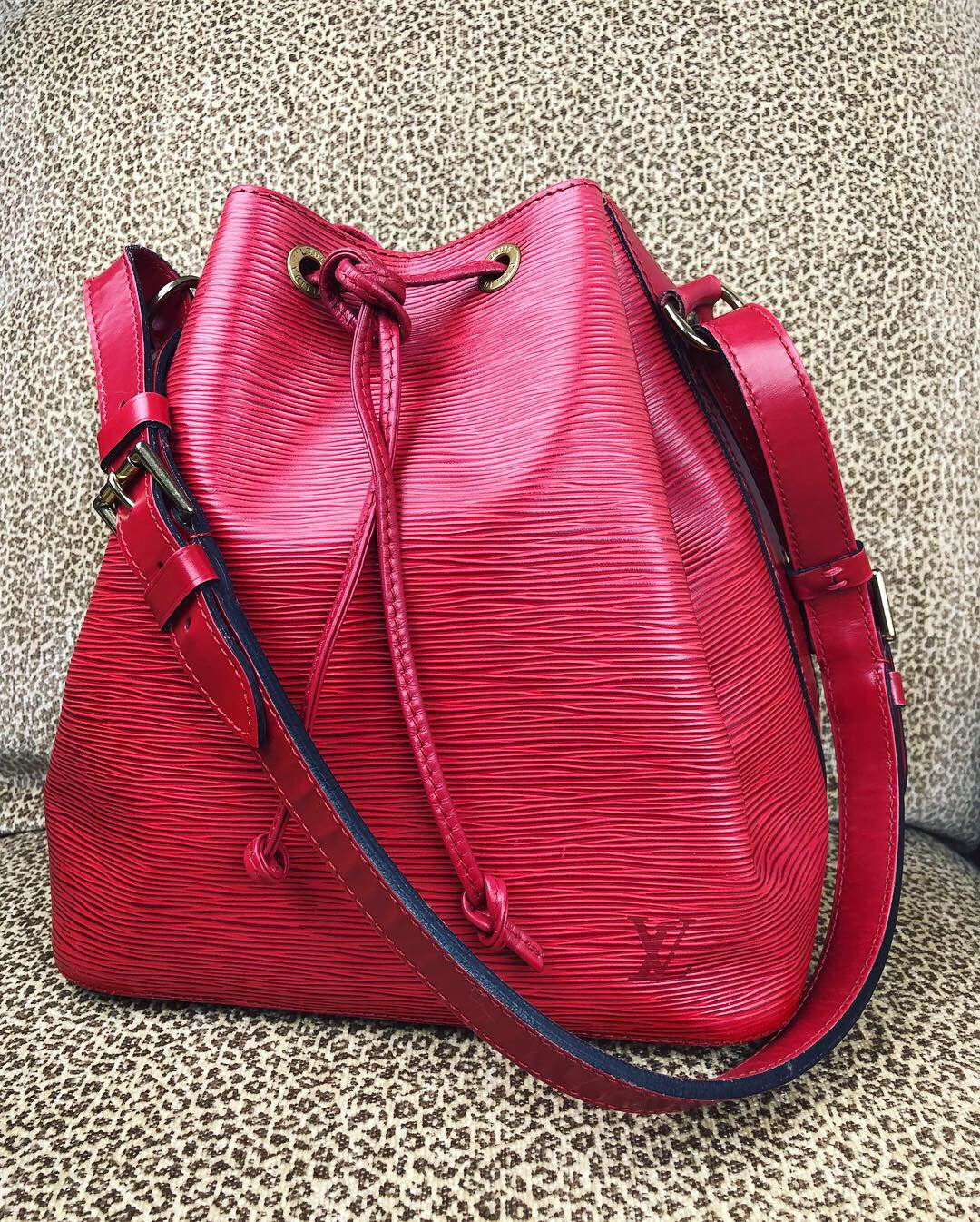 LOUIS VUITTON Red EPI Noe PM Bucket Bag